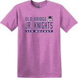 Old Bridge Jr. Knights Softstyle T-Shirt