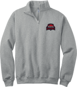 Philadelphia Resistance NuBlend 1/4-Zip Cadet Collar Sweatshirt