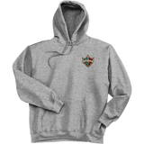 Delaware Ducks Ultimate Cotton - Pullover Hooded Sweatshirt