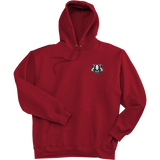 Scary Badgers Ultimate Cotton - Pullover Hooded Sweatshirt