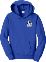 Berdnikov Bears Youth Fan Favorite Fleece Pullover Hooded Sweatshirt